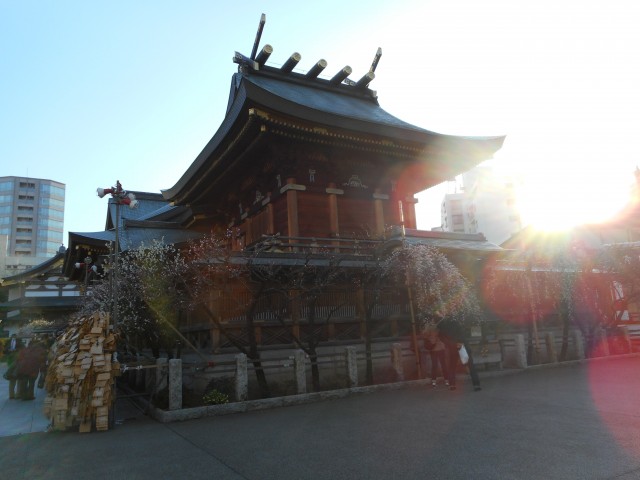 DSCN0634