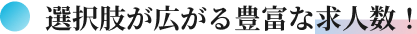 選択肢が広がる豊富な求人数！